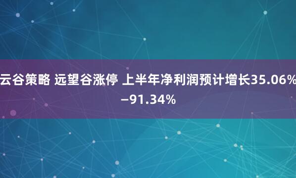 云谷策略 远望谷涨停 上半年净利润预计增长35.06%—91.34%