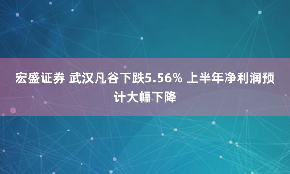 宏盛证券 武汉凡谷下跌5.56% 上半年净利润预计大幅下降