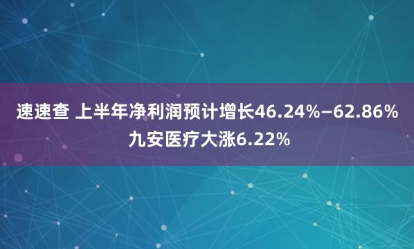 速速查 上半年净利润预计增长46.24%—62.86% 九安医疗大涨6.22%