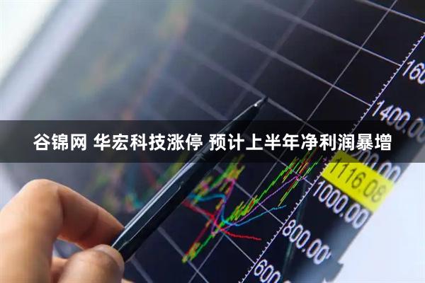 谷锦网 华宏科技涨停 预计上半年净利润暴增