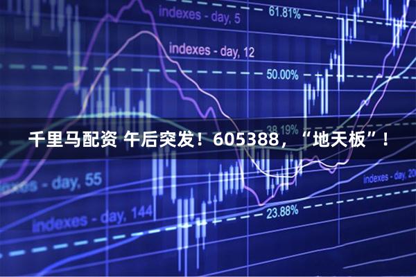 千里马配资 午后突发！605388，“地天板”！