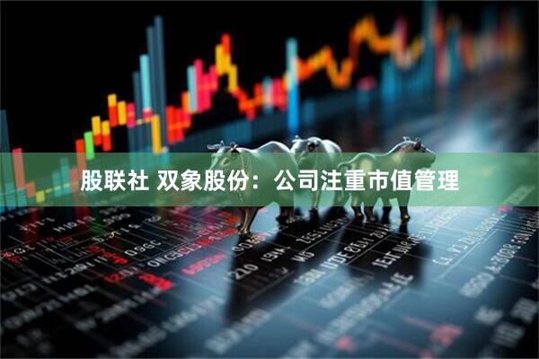 股联社 双象股份：公司注重市值管理