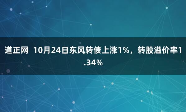 道正网  10月24日东风转债上涨1%，转股溢价率1.34%