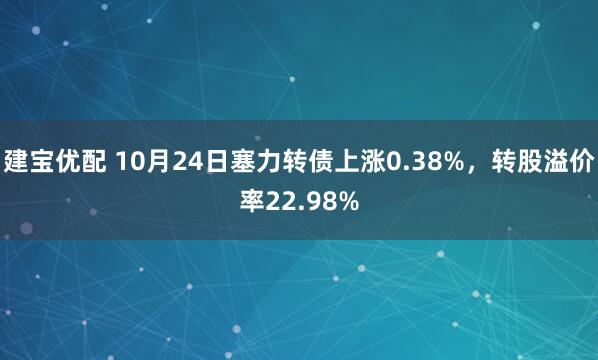 建宝优配 10月24日塞力转债上涨0.38%，转股溢价率22.98%