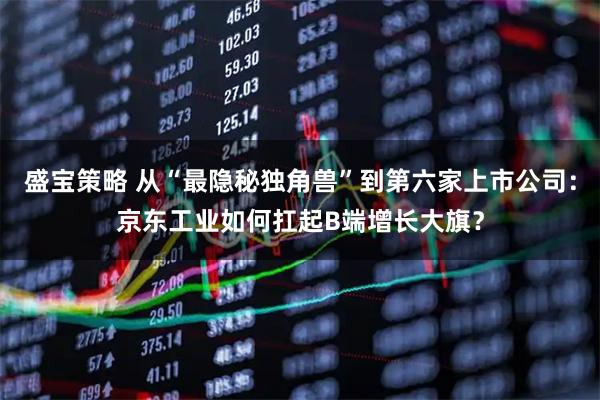 盛宝策略 从“最隐秘独角兽”到第六家上市公司：京东工业如何扛起B端增长大旗？